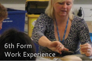 Sixth Form Work Experience