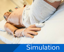 Links to information about simulation